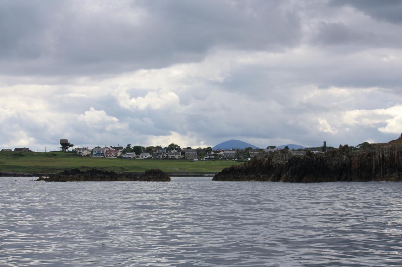 Ringfad B&B Ardglass Екстериор снимка